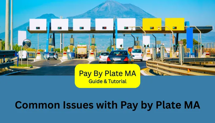 Common Issues with Pay by Plate MA Common Issues with Pay by Plate MA