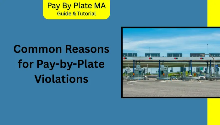 Common Reasons for Pay-by-Plate Violations Common Reasons for Pay-by-Plate Violations